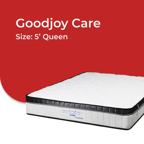 Goodnite GoodJoy Care 7 Turn Posture Spring Mattress (Queen, 11 Inch)